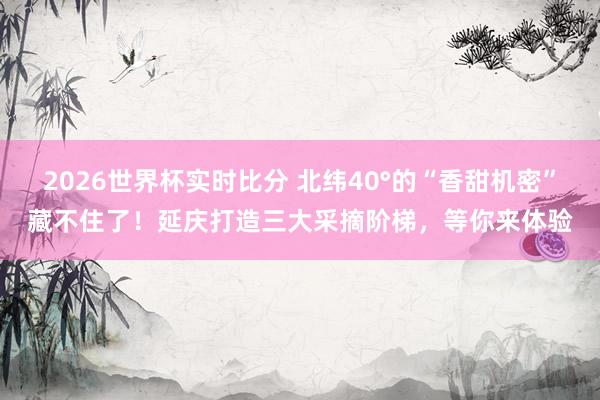 2026世界杯实时比分 北纬40°的“香甜机密”藏不住了!延庆打造三大采摘阶梯,等你来体验