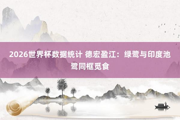 2026世界杯数据统计 德宏盈江:绿鹭与印度池鹭同框觅食