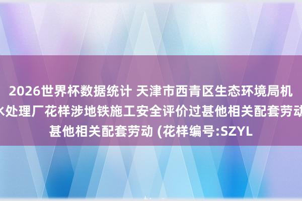 2026世界杯数据统计 天津市西青区生态环境局机关 西青诞生区浑水处理厂花样涉地铁施工安全评价过甚他相关配套劳动 (花样编号:SZYL