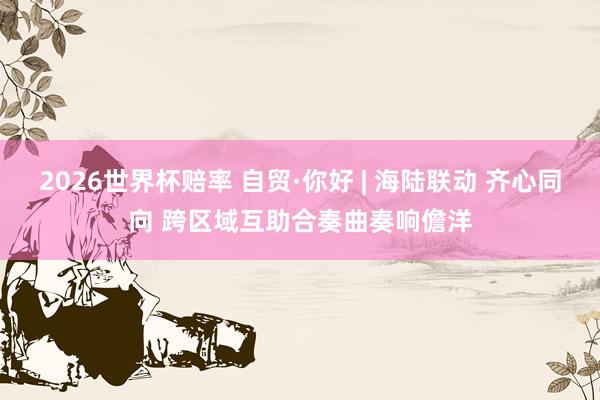 2026世界杯赔率 自贸·你好 | 海陆联动 齐心同向 跨区域互助合奏曲奏响儋洋