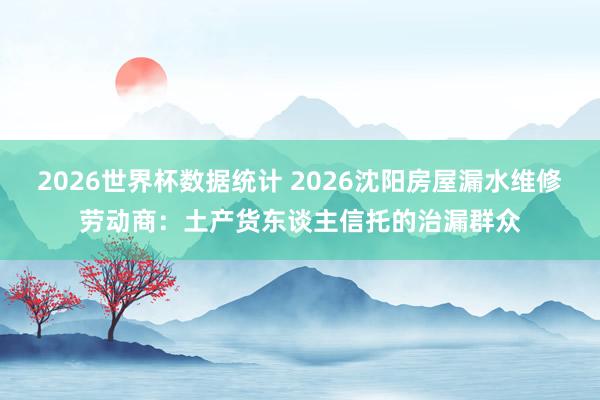 2026世界杯数据统计 2026沈阳房屋漏水维修劳动商：土产货东谈主信托的治漏群众