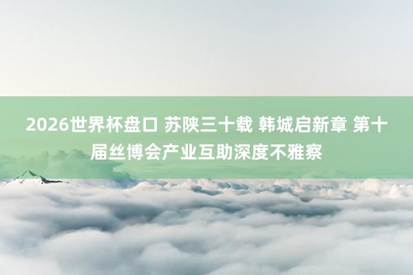 2026世界杯盘口 苏陕三十载 韩城启新章 第十届丝博会产业互助深度不雅察