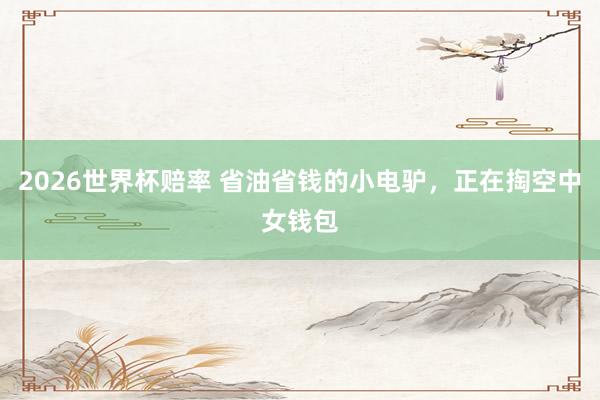 2026世界杯赔率 省油省钱的小电驴,正在掏空中女钱包