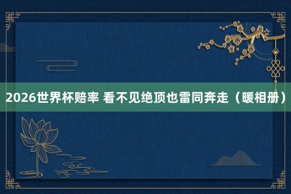 2026世界杯赔率 看不见绝顶也雷同奔走(暖相册)