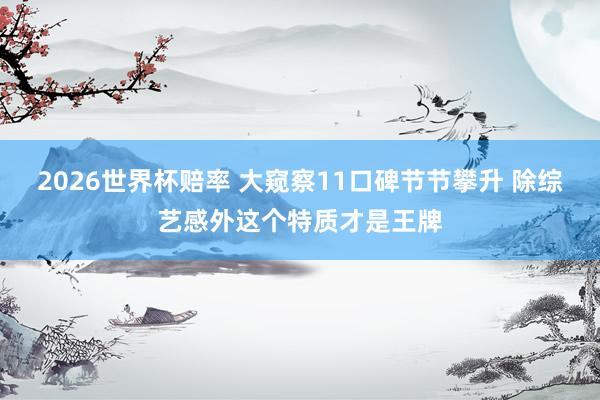 2026世界杯赔率 大窥察11口碑节节攀升 除综艺感外这个特质才是王牌