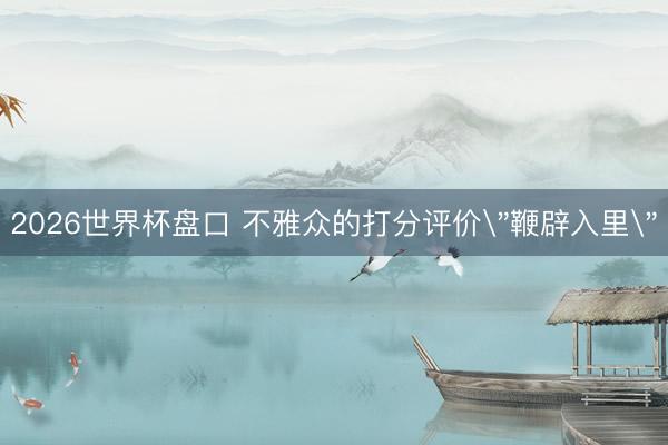 2026世界杯盘口 不雅众的打分评价
