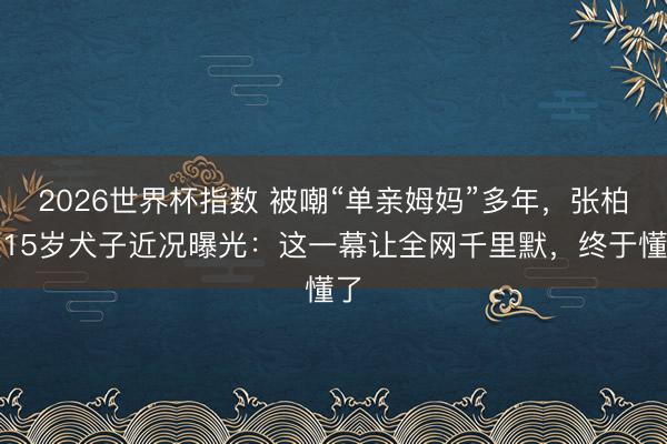 2026世界杯指数 被嘲“单亲姆妈”多年,张柏芝15岁犬子近况曝光:这一幕让全网千里默,终于懂了