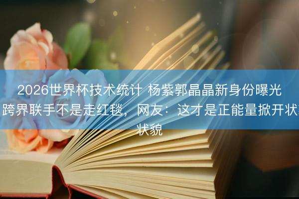 2026世界杯技术统计 杨紫郭晶晶新身份曝光！跨界联手不是走红毯，网友：这才是正能量掀开状貌