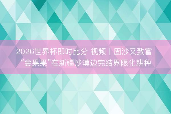 2026世界杯即时比分 视频|固沙又致富 “金果果”在新疆沙漠边完结界限化耕种