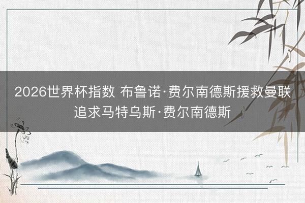 2026世界杯指数 布鲁诺·费尔南德斯援救曼联追求马特乌斯·费尔南德斯